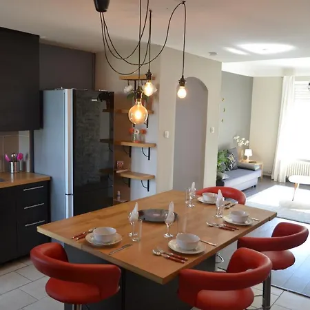 Le Saint-Bernard Apartment Metz Exterior photo